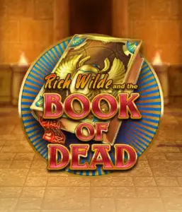 Dive into the thrilling world of Book of Dead by Play'n GO, presenting vivid graphics of Rich Wilde's journey through ancient Egyptian tombs and artifacts. Discover lost riches with exciting mechanics like free spins, expanding symbols, and a gamble option. Ideal for adventure seekers with a desire for exciting finds.